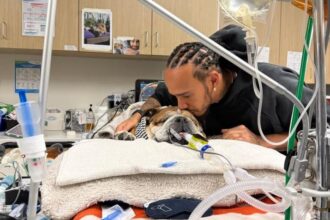 Lewis Hamilton, Roscoe